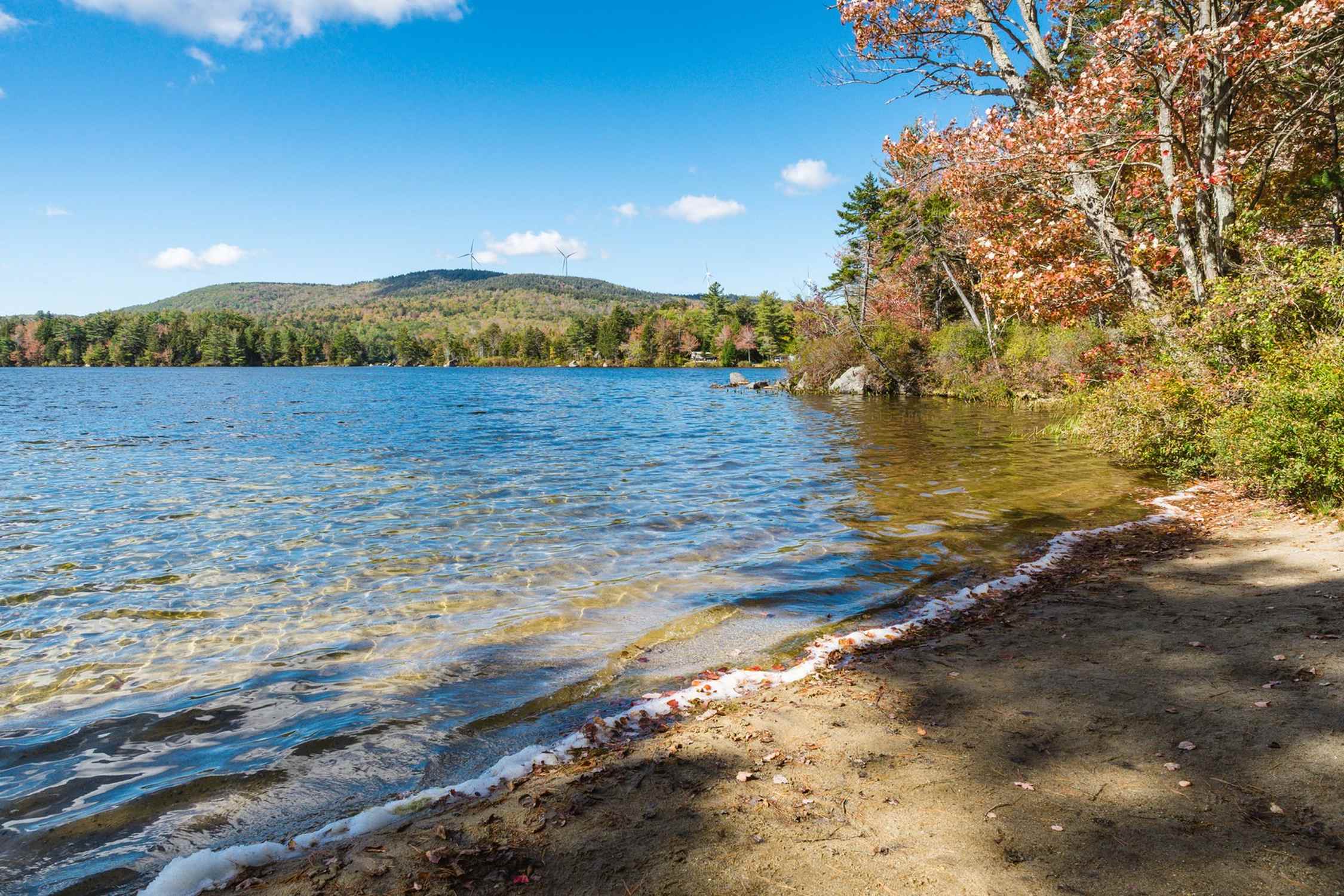 Pillsbury State Park - Photo 1