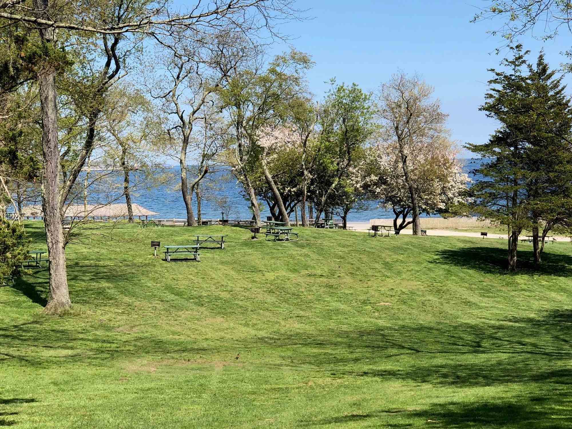 Greenwich Point Park - Photo 1