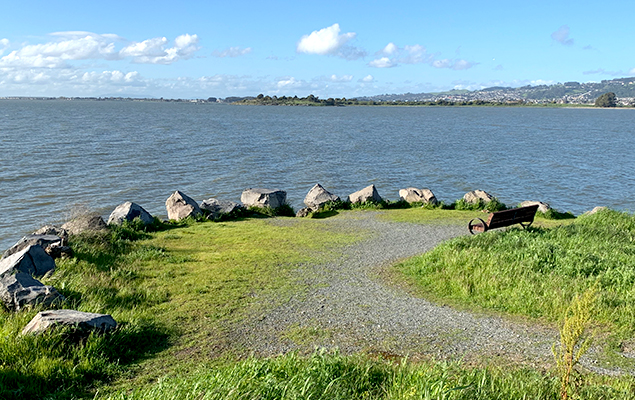 César Chávez Park - Photo 1