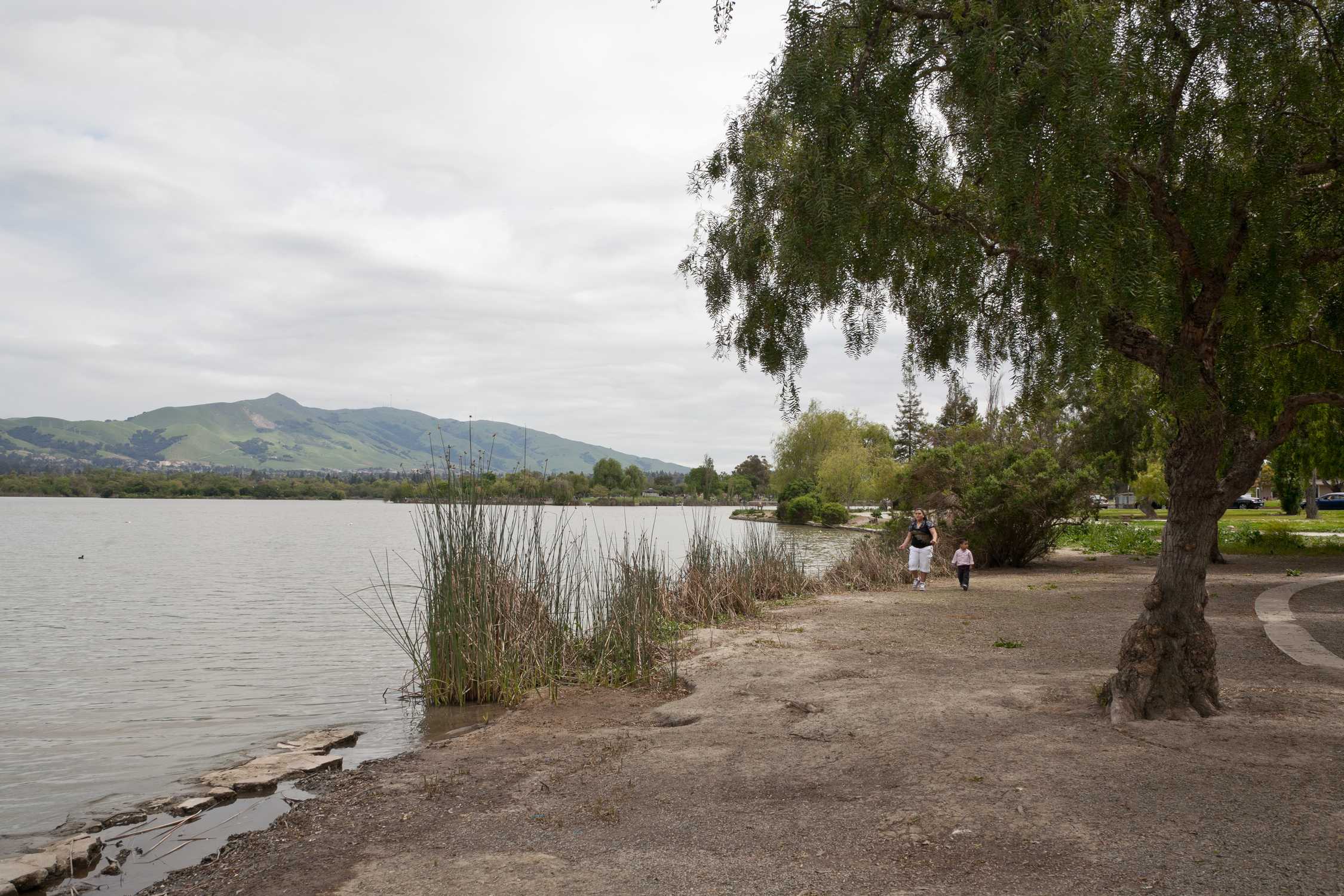 Fremont Central Park - Photo 1
