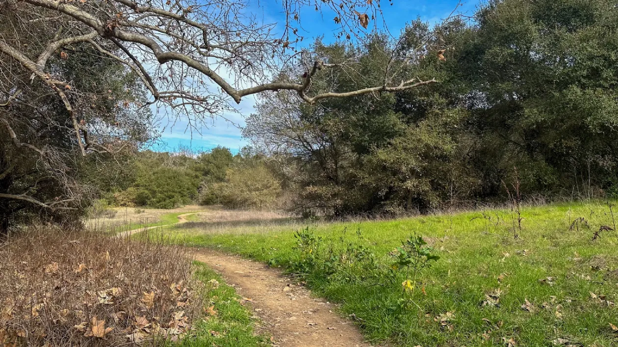 San Clemente Canyon Trail Parking Lot - Photo 1