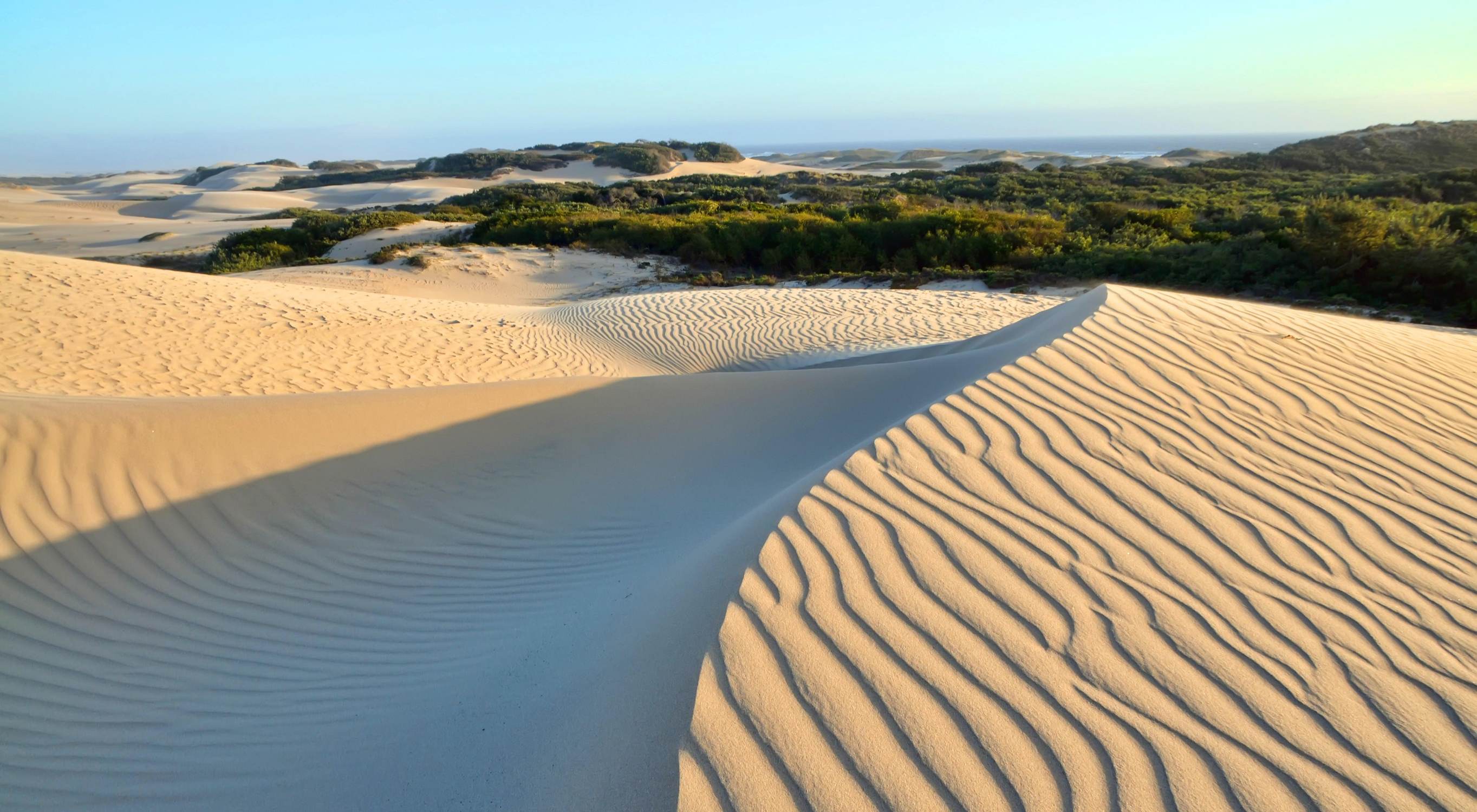 Guadalupe Dunes County Park - Photo 1