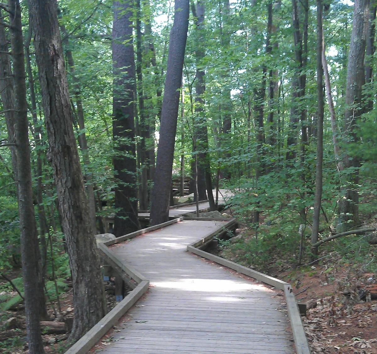 Livingston Park - Photo 1