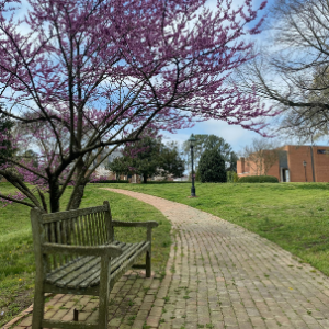 Bicentennial Park - Photo 1
