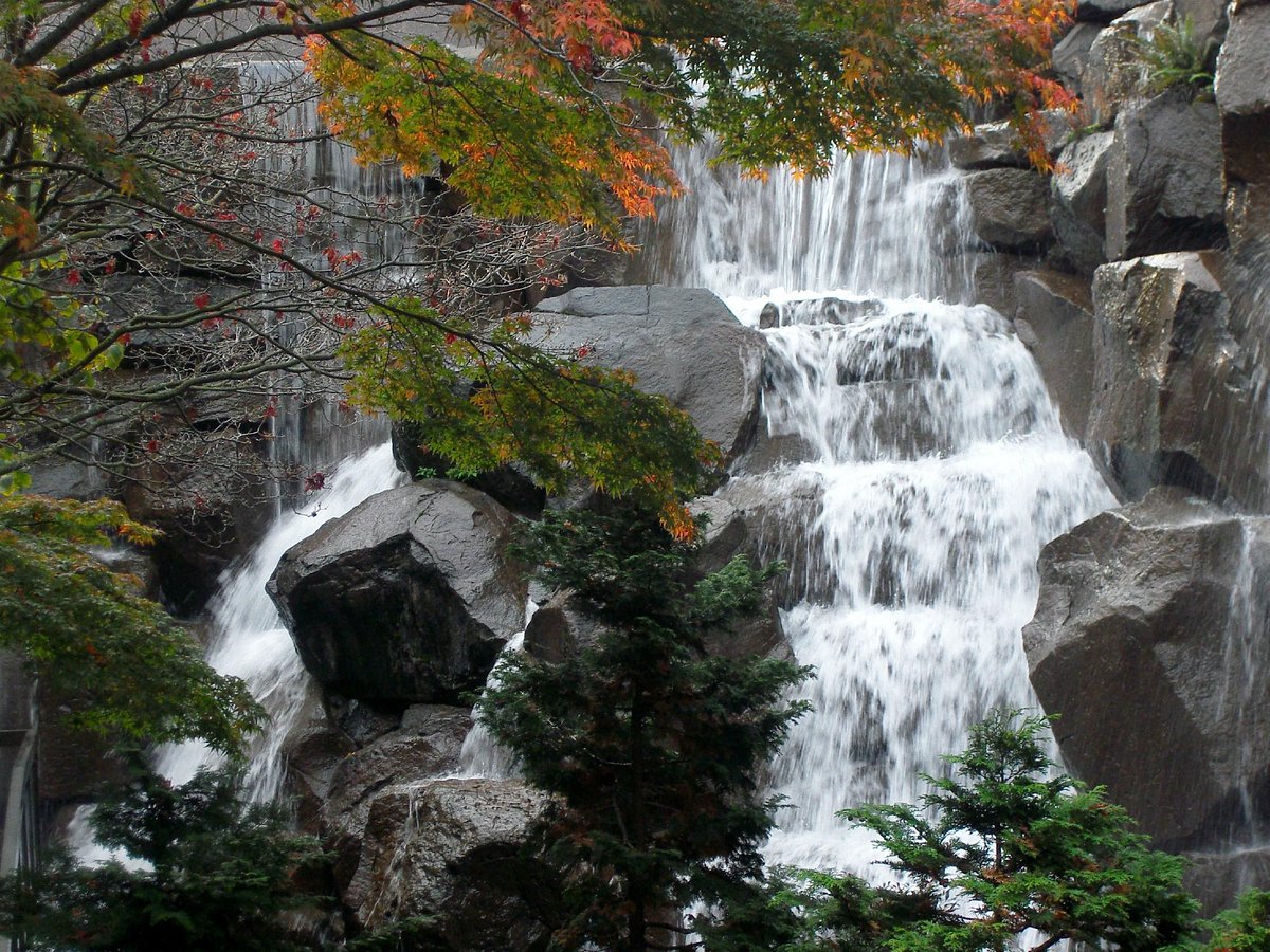Waterfall Garden - Photo 1