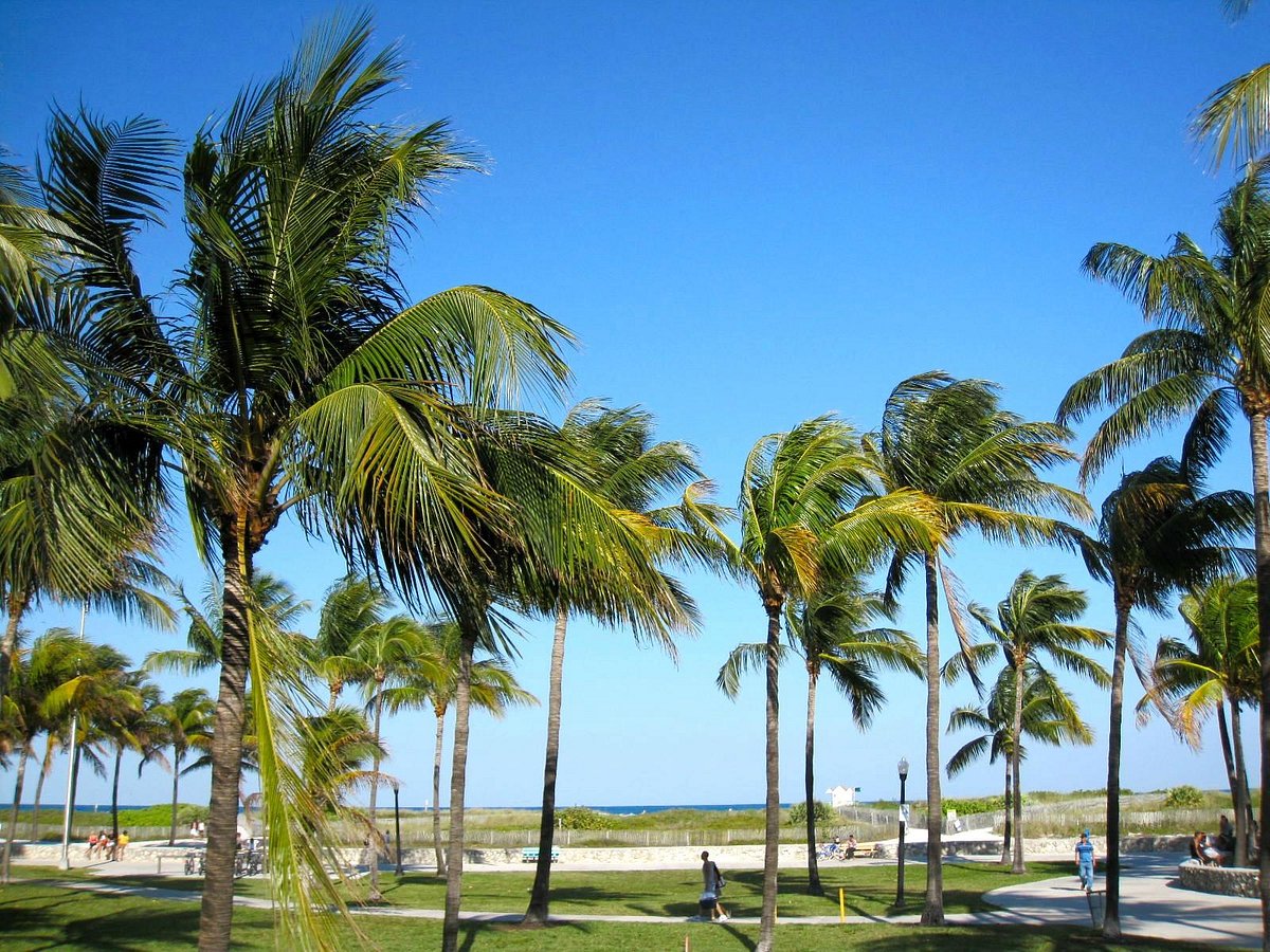 Lummus Park - Photo 1
