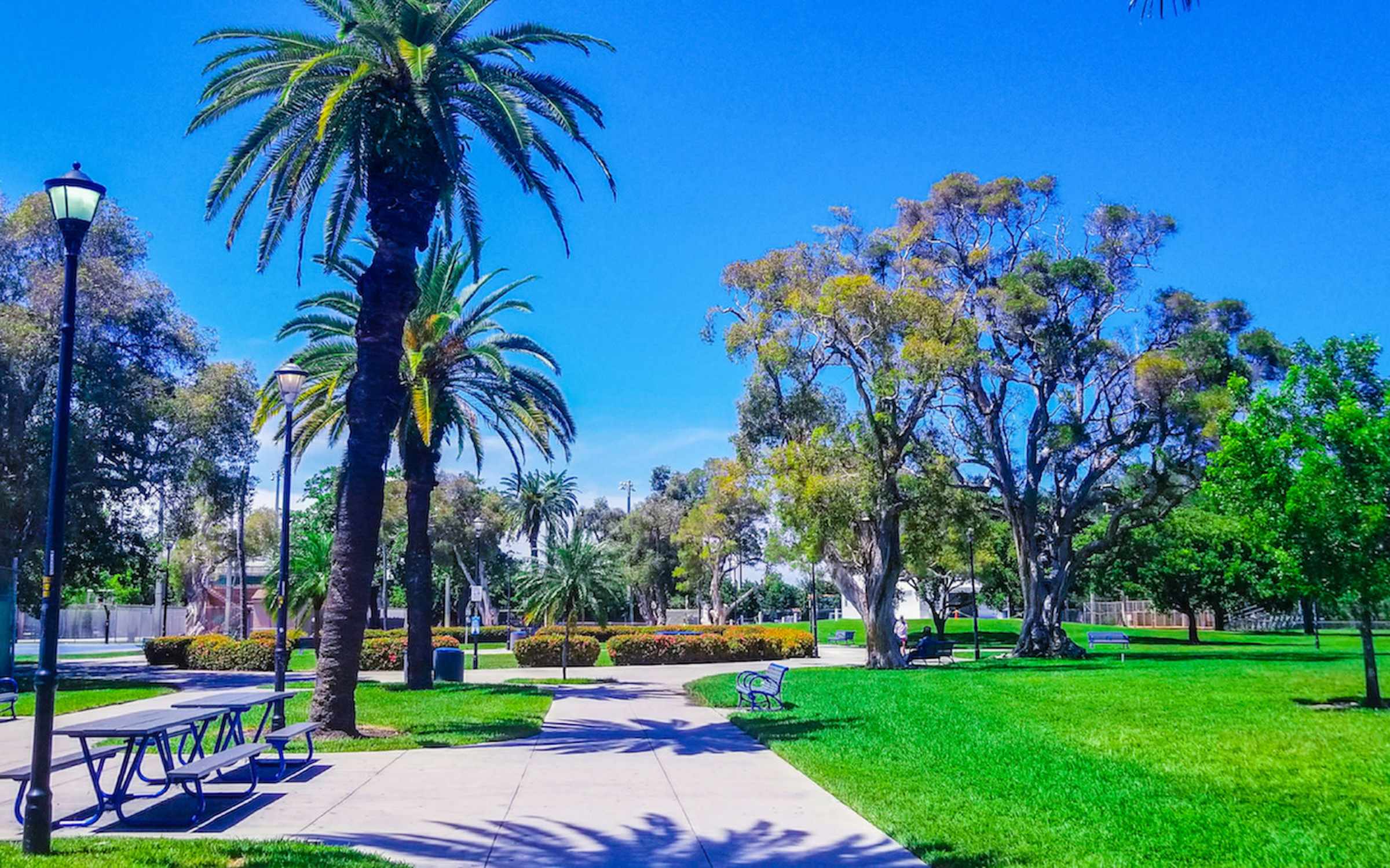 Flamingo Park - Photo 1