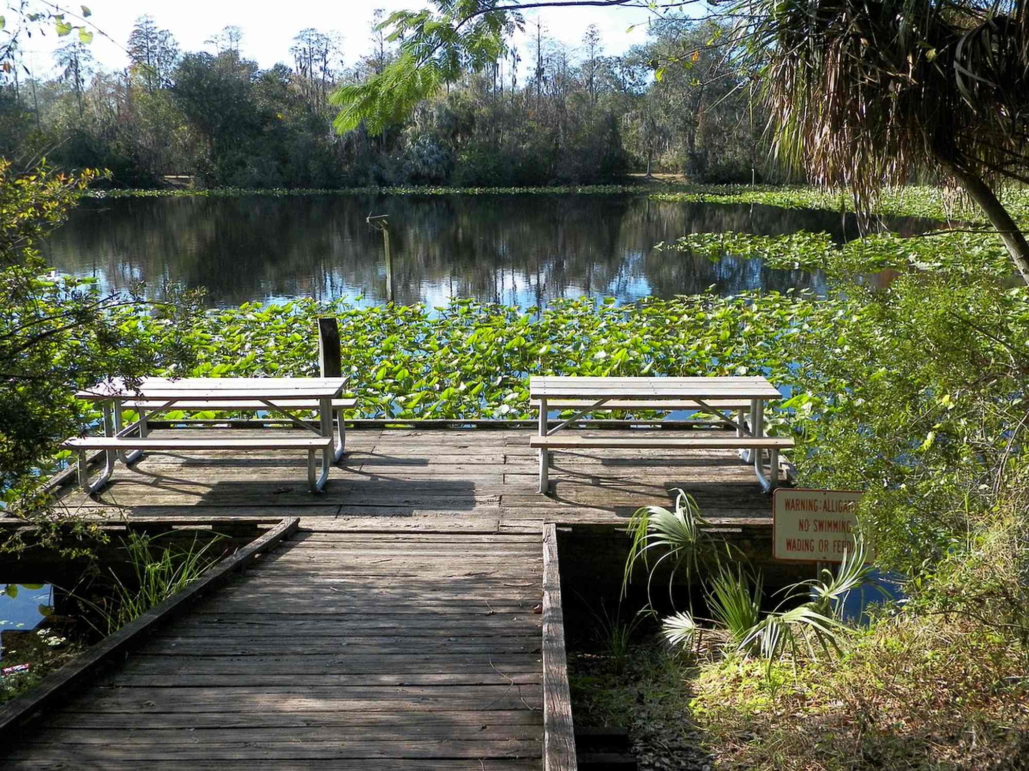 Al Lopez Park - Photo 1