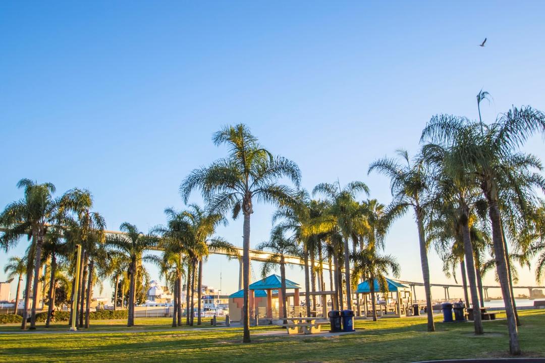 Cesar Chavez Park - Photo 1