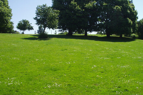 Frazer Park - Photo 1