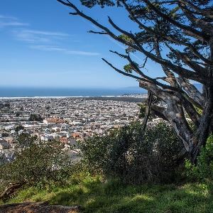 Golden Gate Heights Park - Photo 1