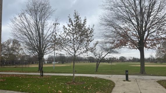 Hayes Park - Photo 1
