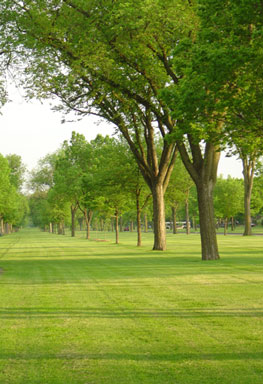 Victory Memorial Regional Park - Photo 1