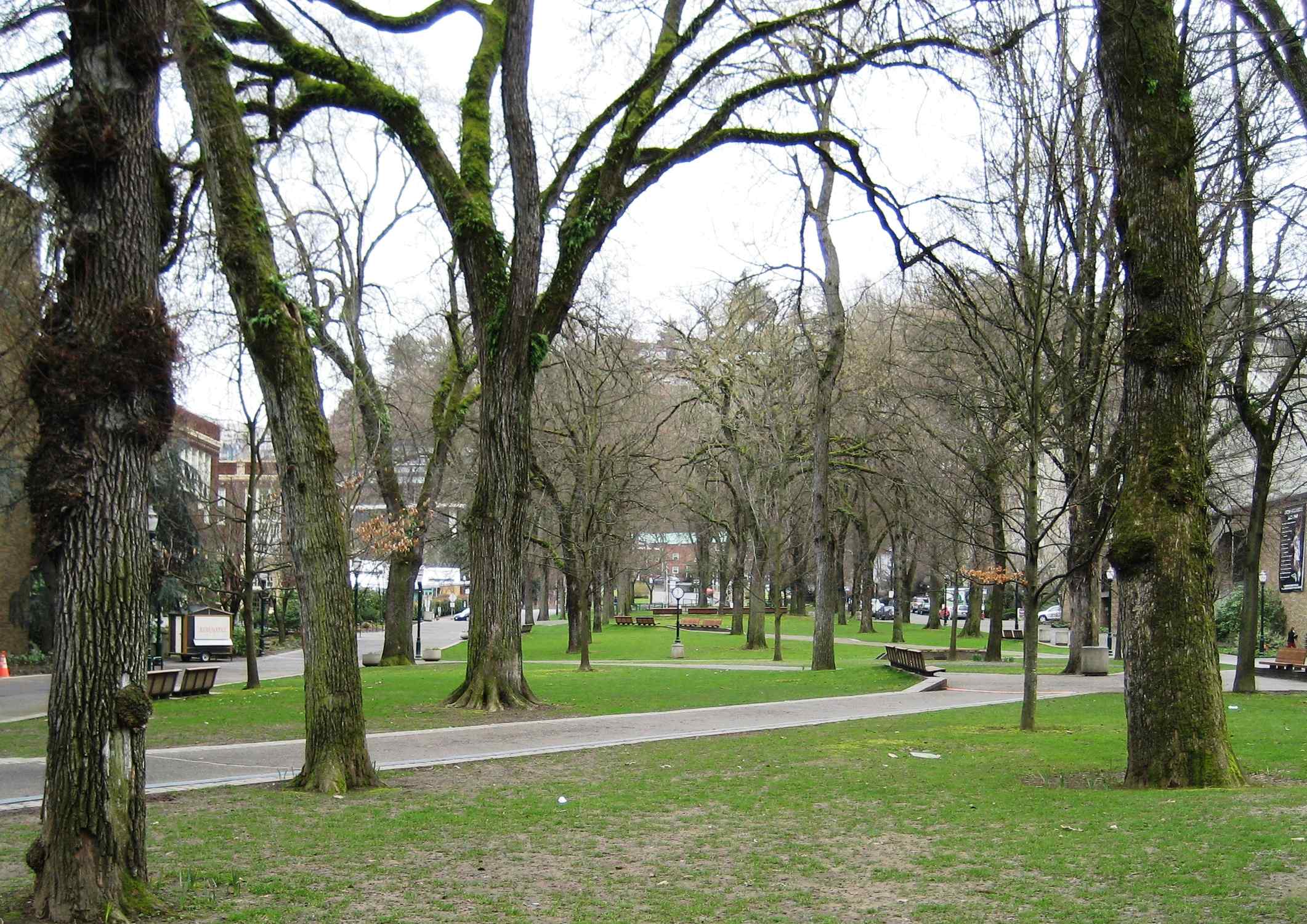 South Park Blocks - Photo 1