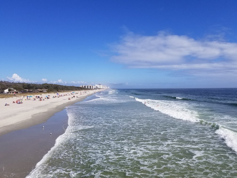 Myrtle Beach State Park - Photo 1