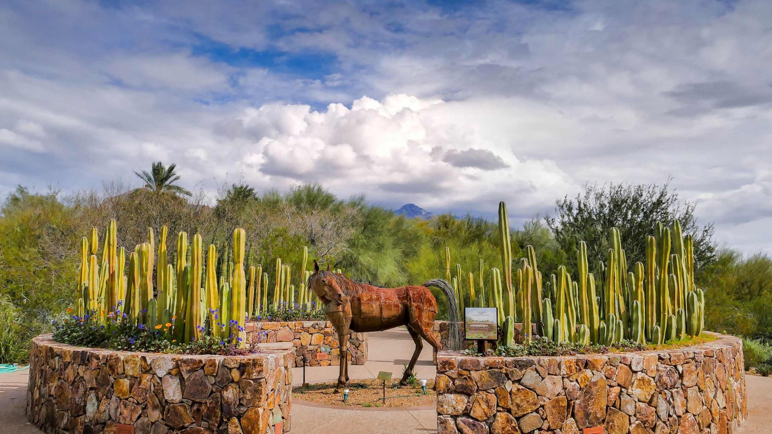 Tohono Chul - Photo 1