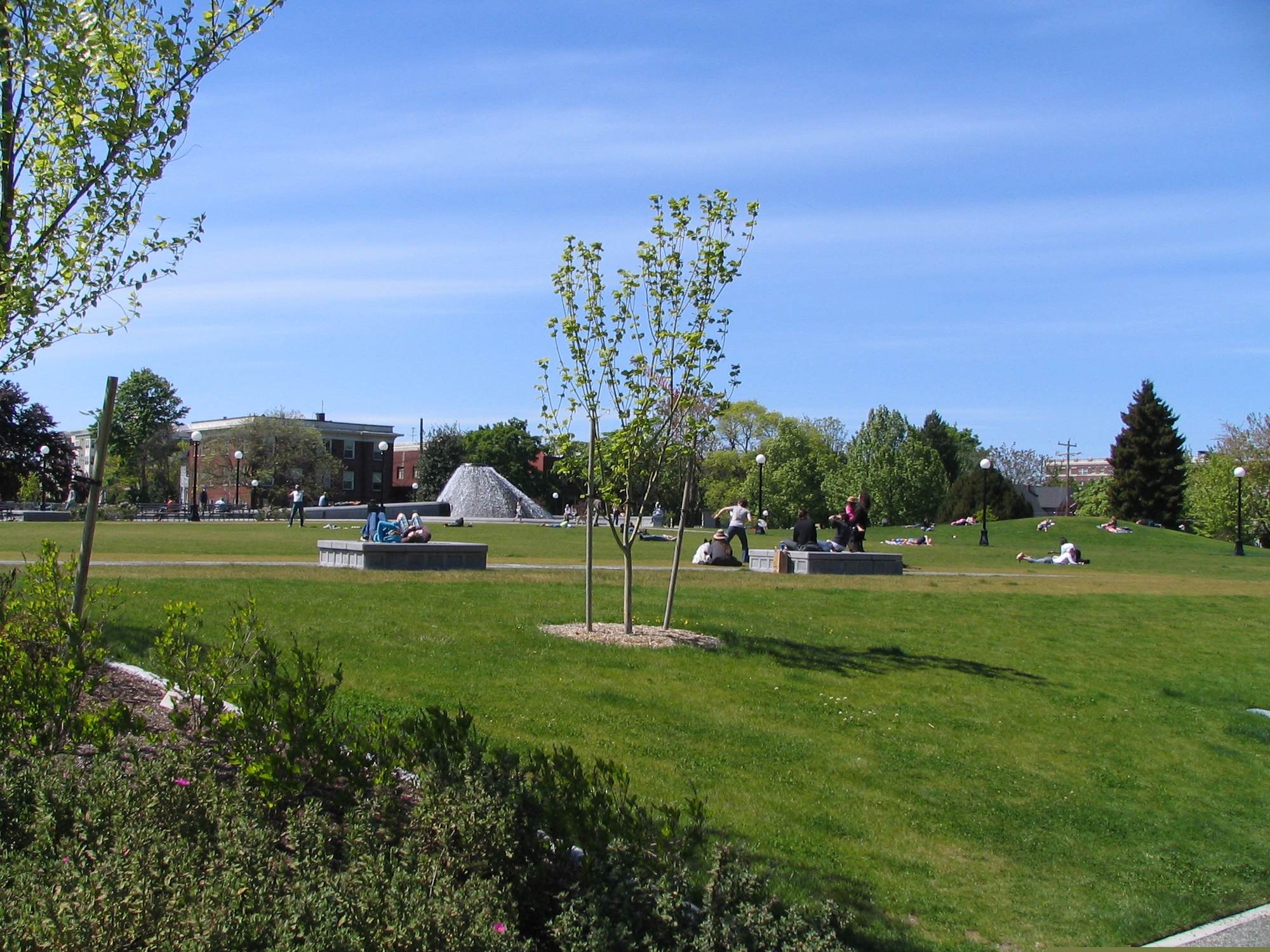 Cal Anderson Park - Photo 1