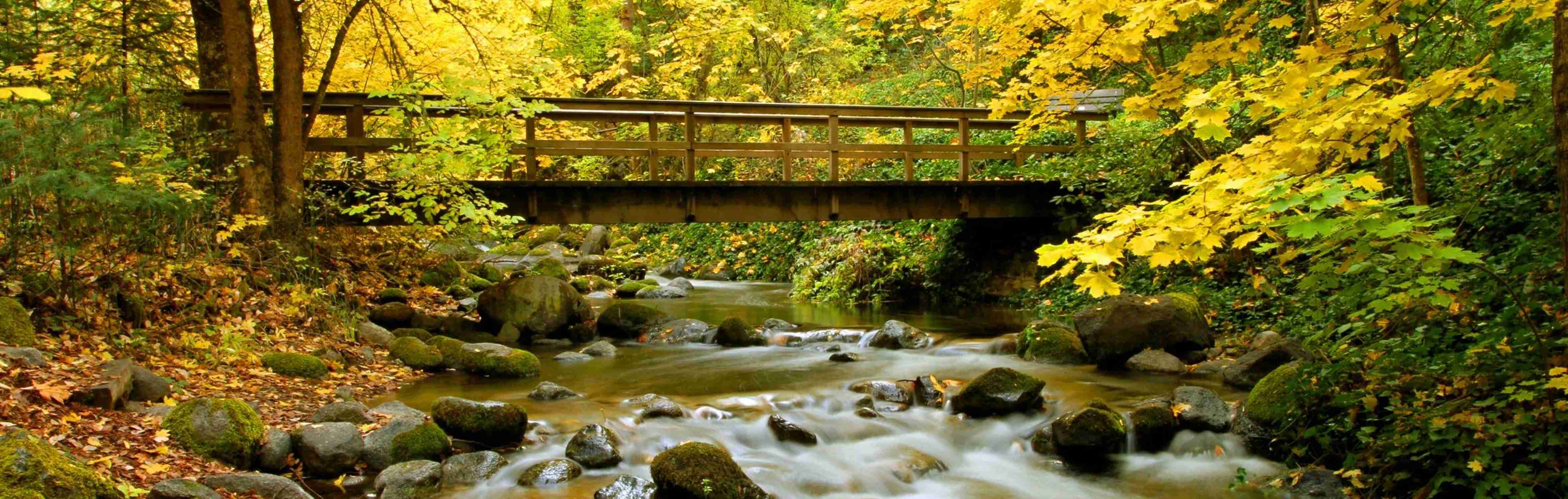Ashland Creek Park - Photo 1