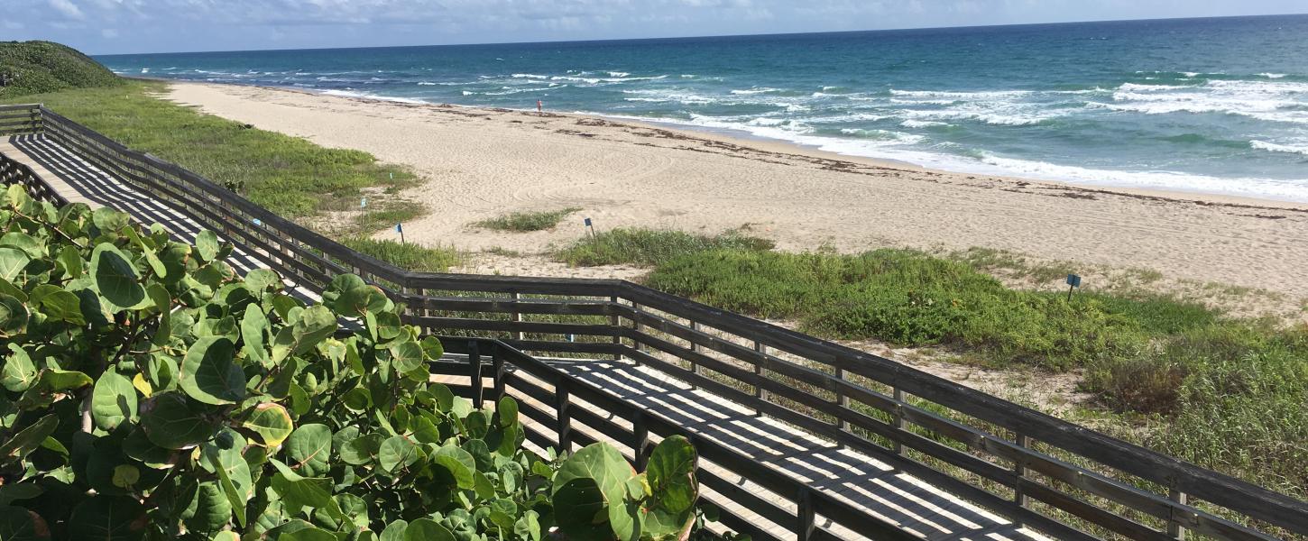 John D. MacArthur Beach State Park - Photo 1