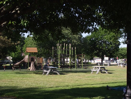 Rochester Commons - Photo 1