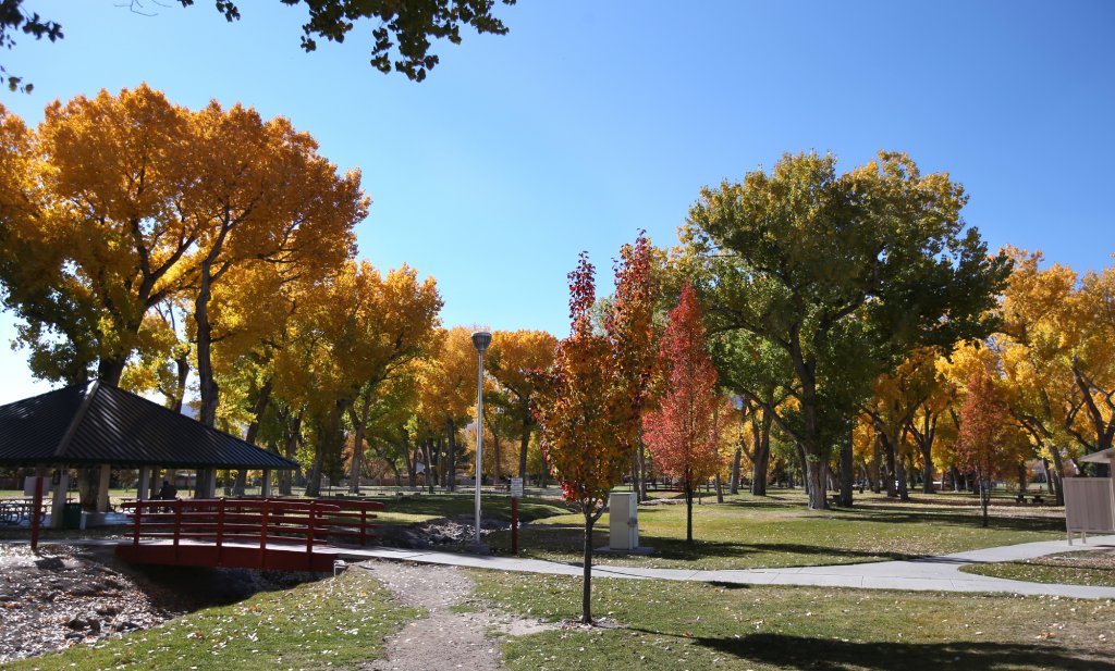 Mills Park - Photo 1