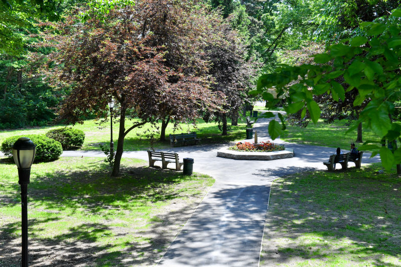 Forest Park - Photo 1