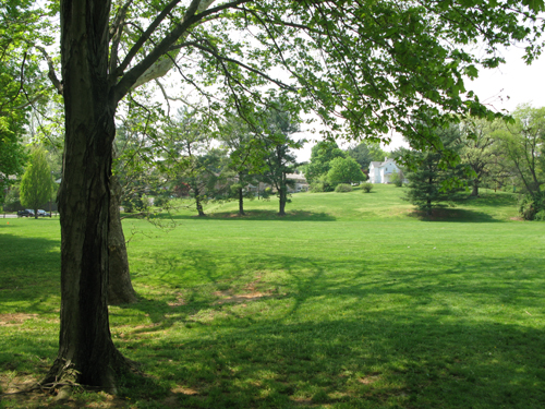 Bluemont Park - Photo 1