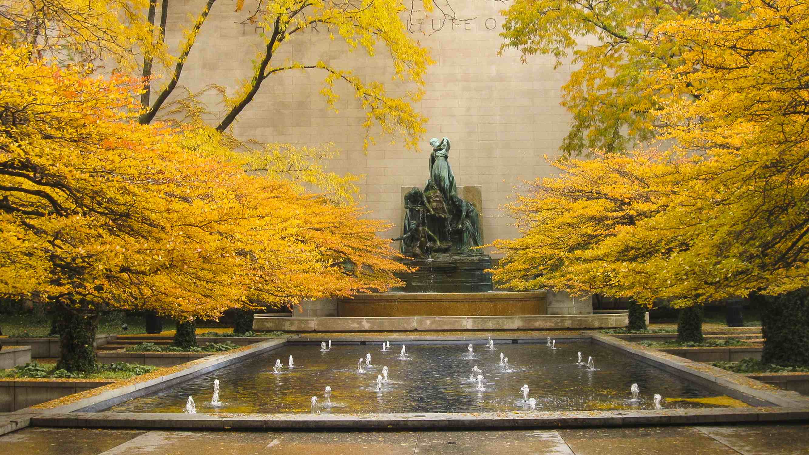 South Garden - Photo 1