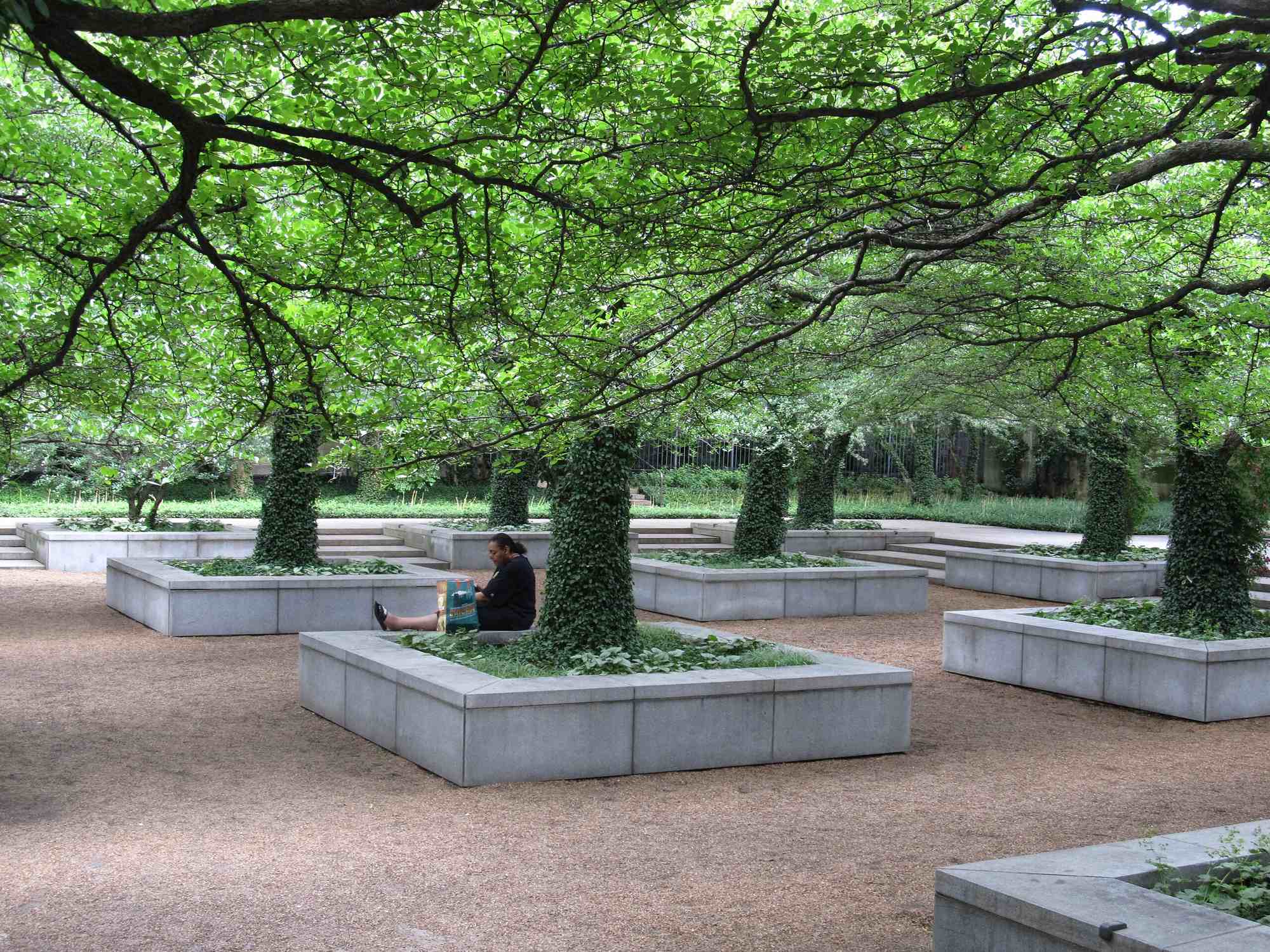 North Garden - Photo 1