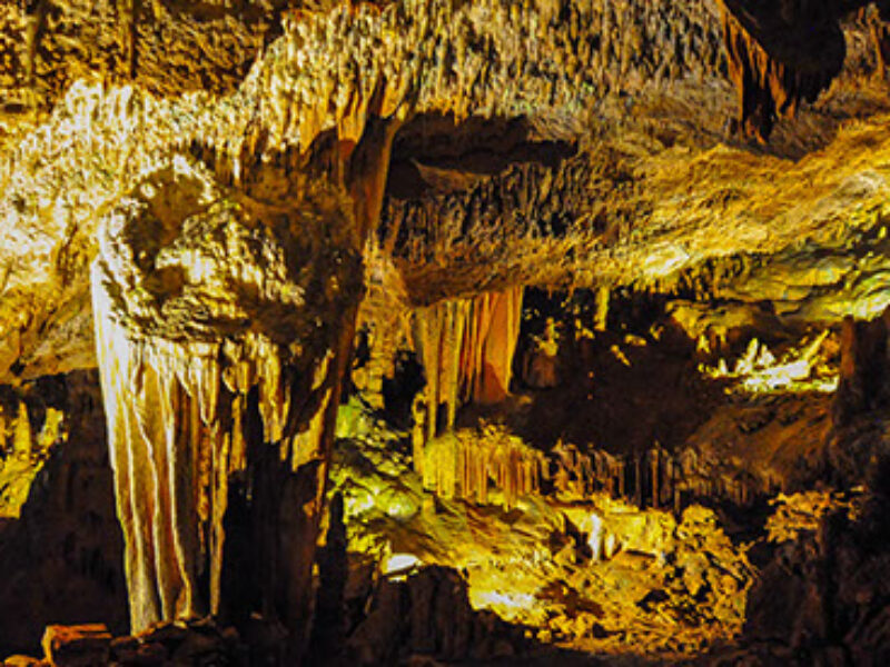 Grand Caverns Regional Park - Photo 1