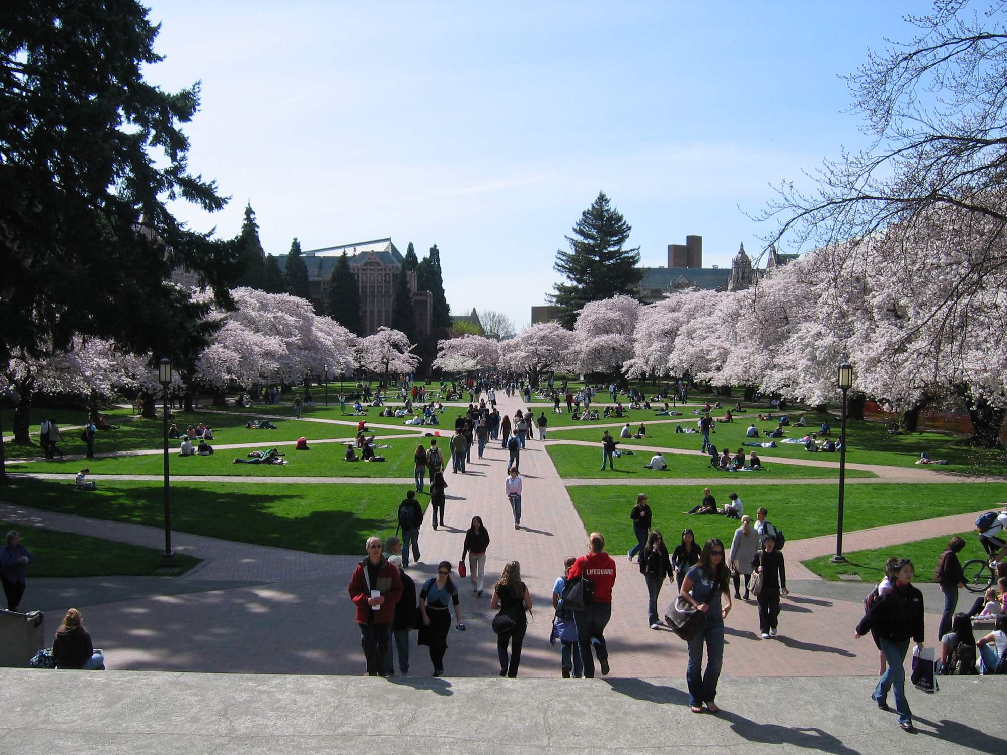 The Quad - Photo 1