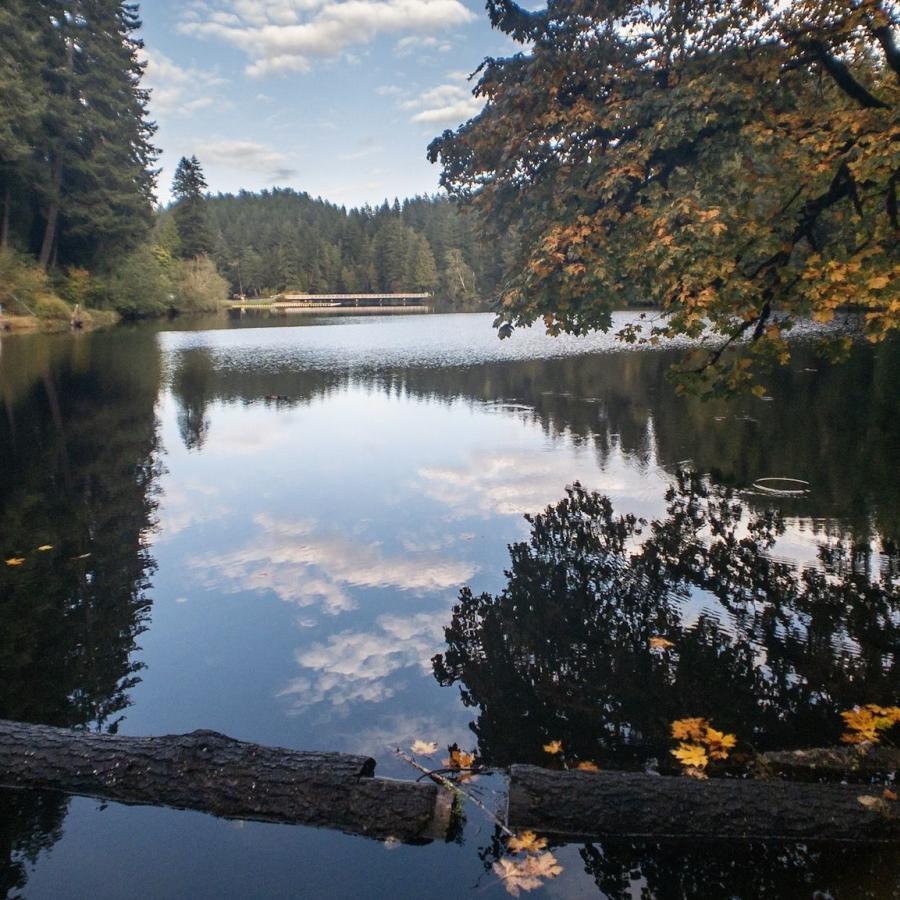Lake Sylvia State Park - Photo 1