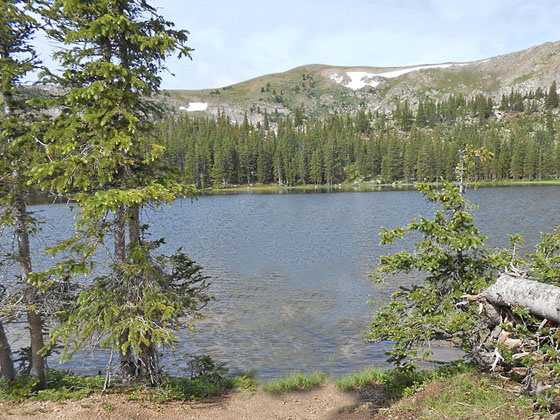 Waterdog Lake & Open Space - Photo 1