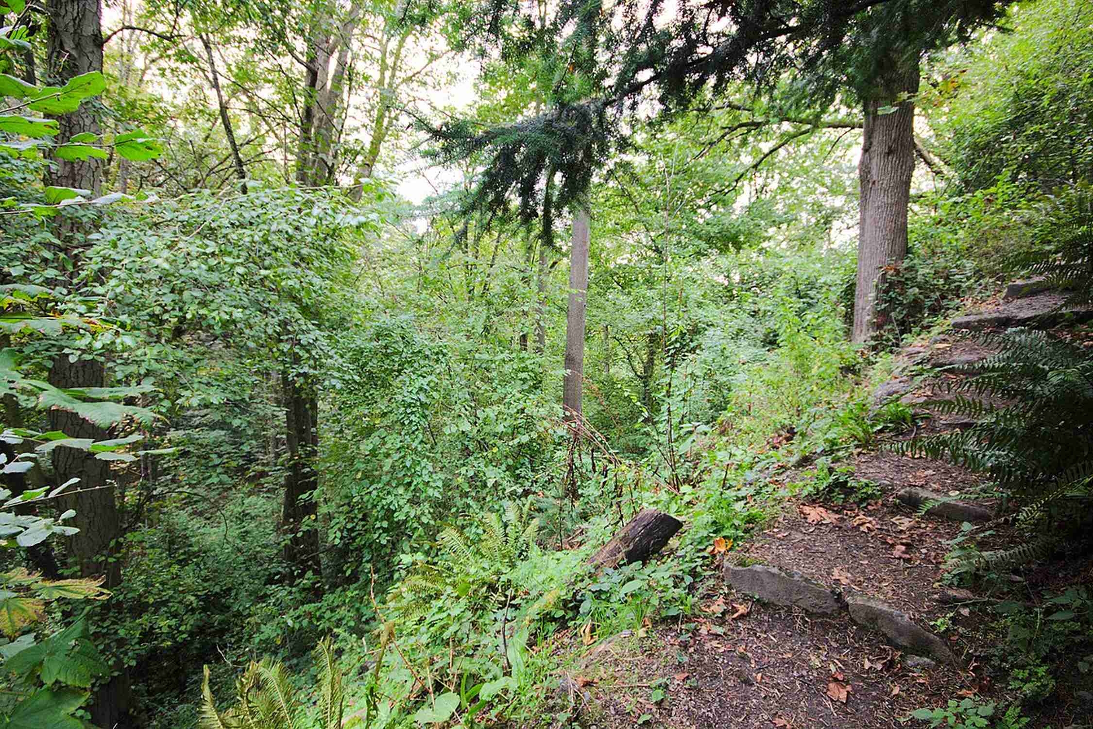 Saint Mark's Greenbelt - Photo 1