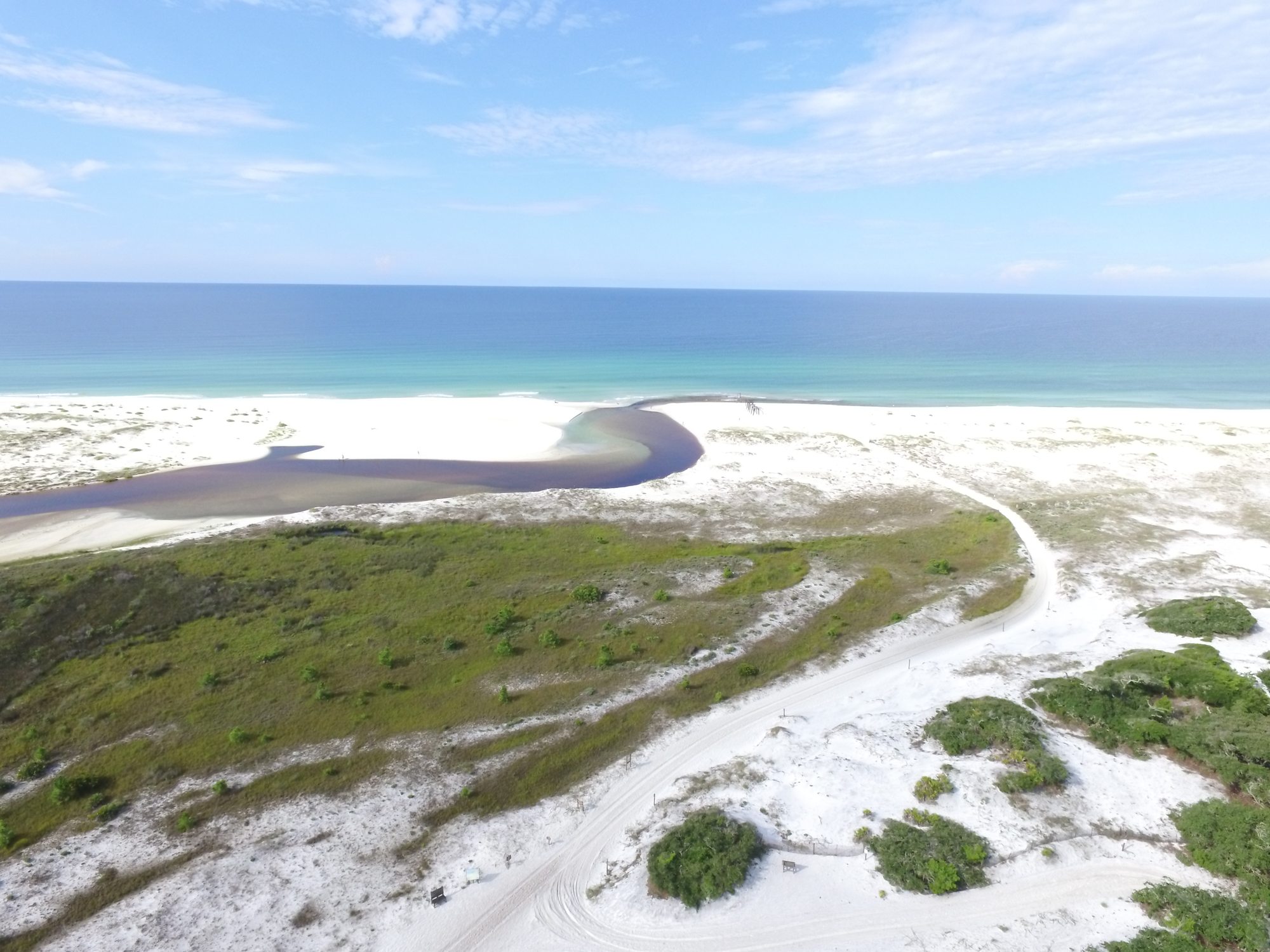 Camp Helen State Park - Photo 1