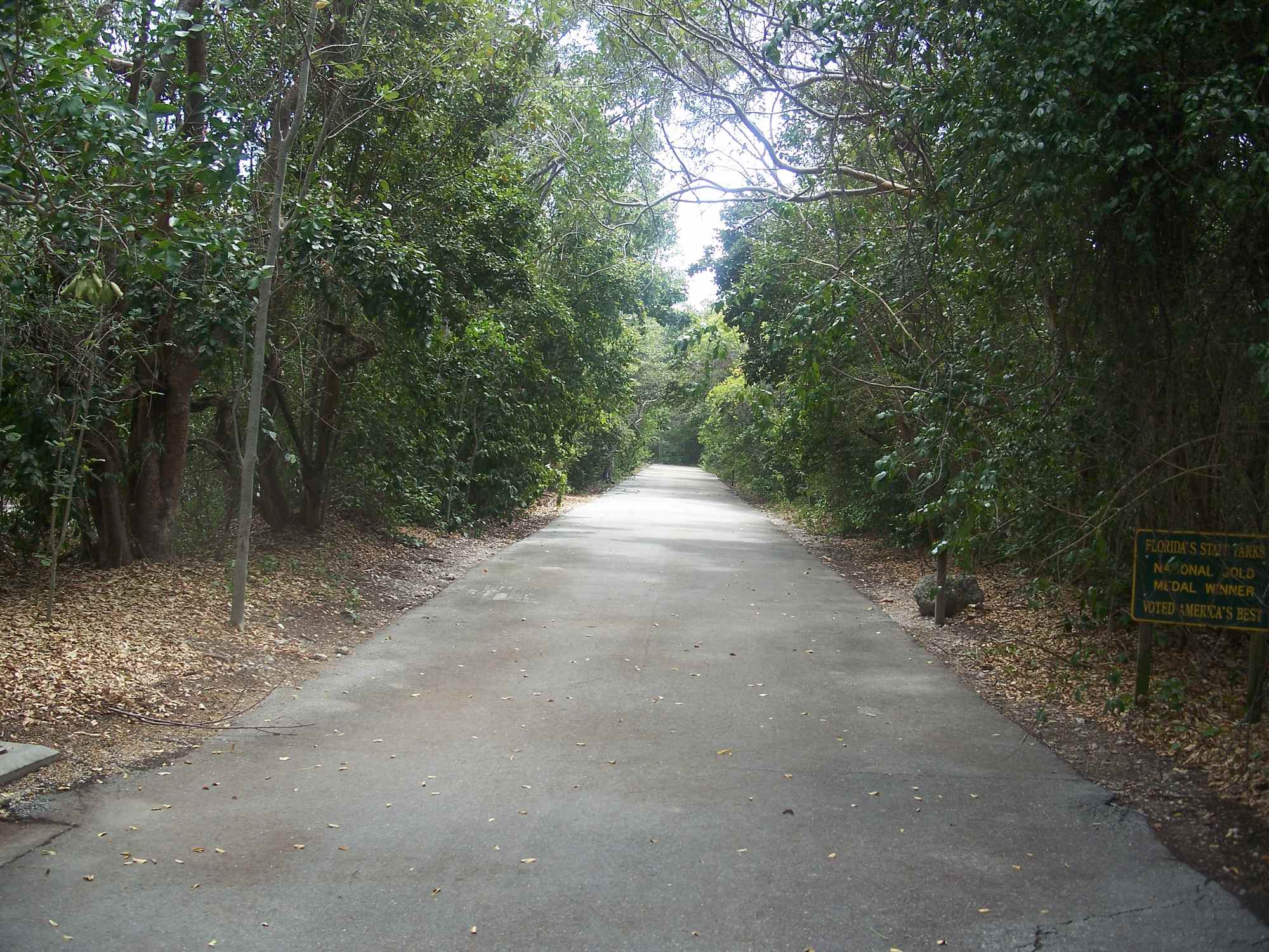 Dagny Johnson Key Largo Hammock Botanical State Park - Photo 1