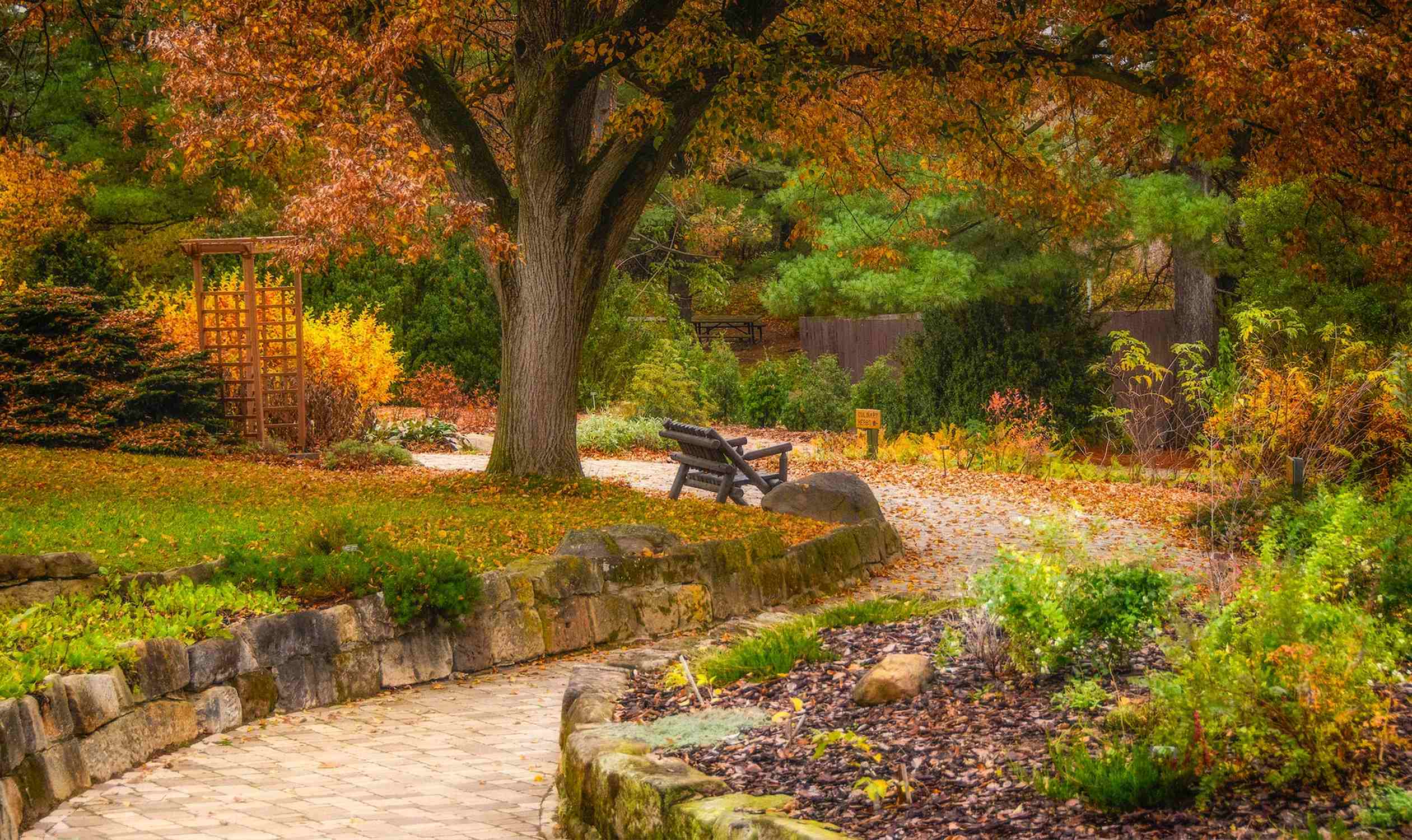 F.A. Seiberling Nature Realm - Photo 1