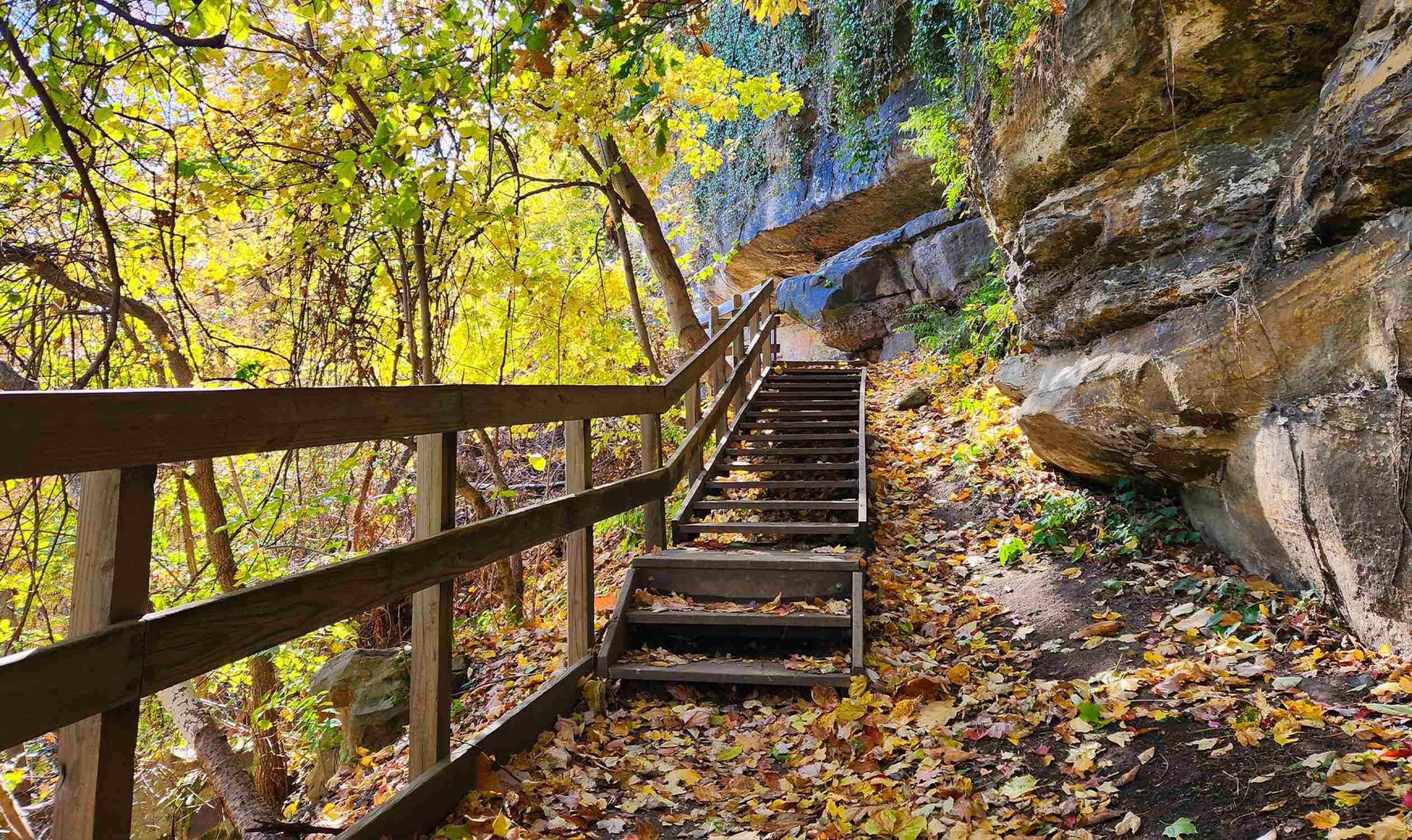 Gorge Metro Park - Photo 1