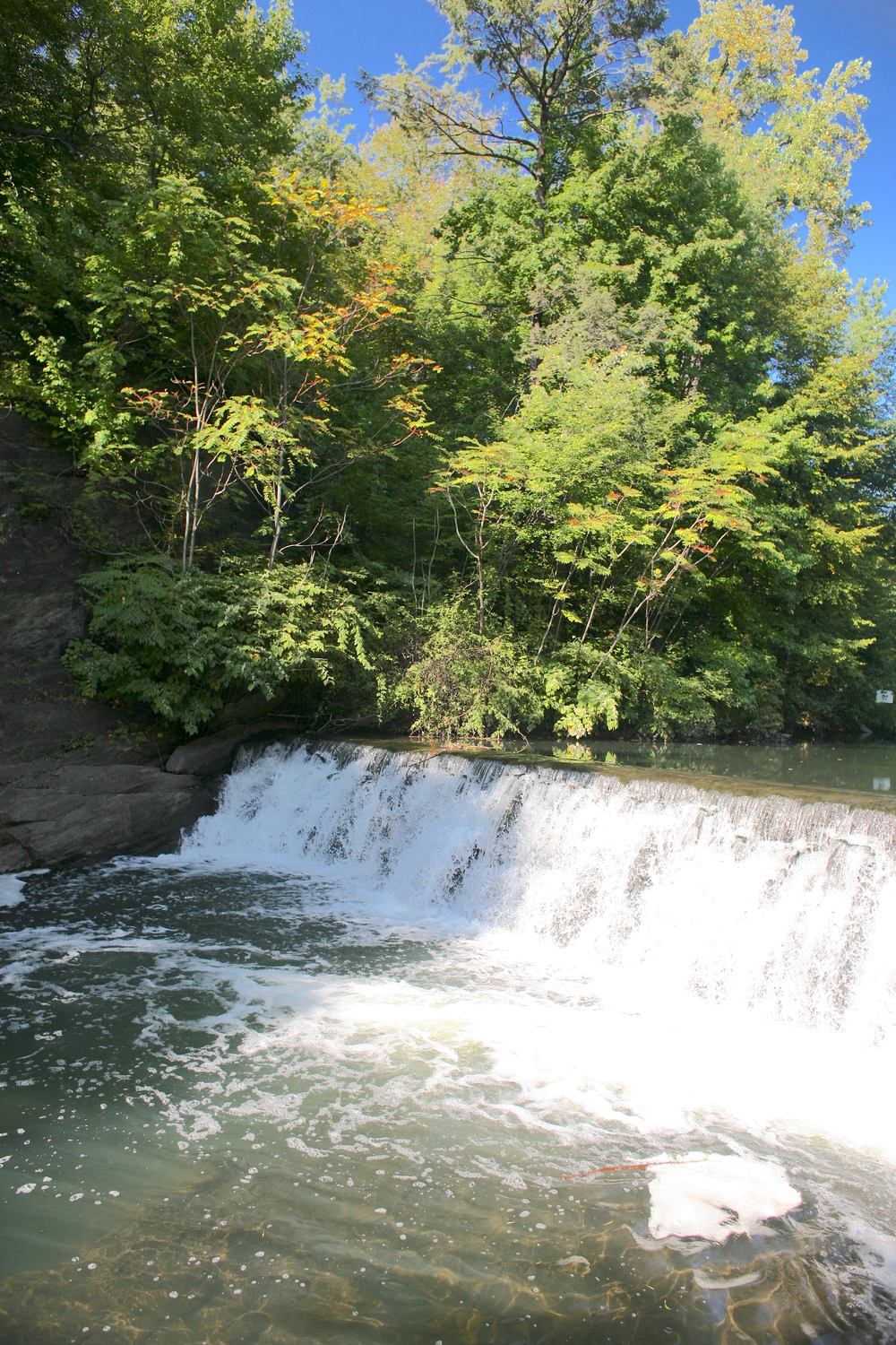 Bronx Park - Photo 1