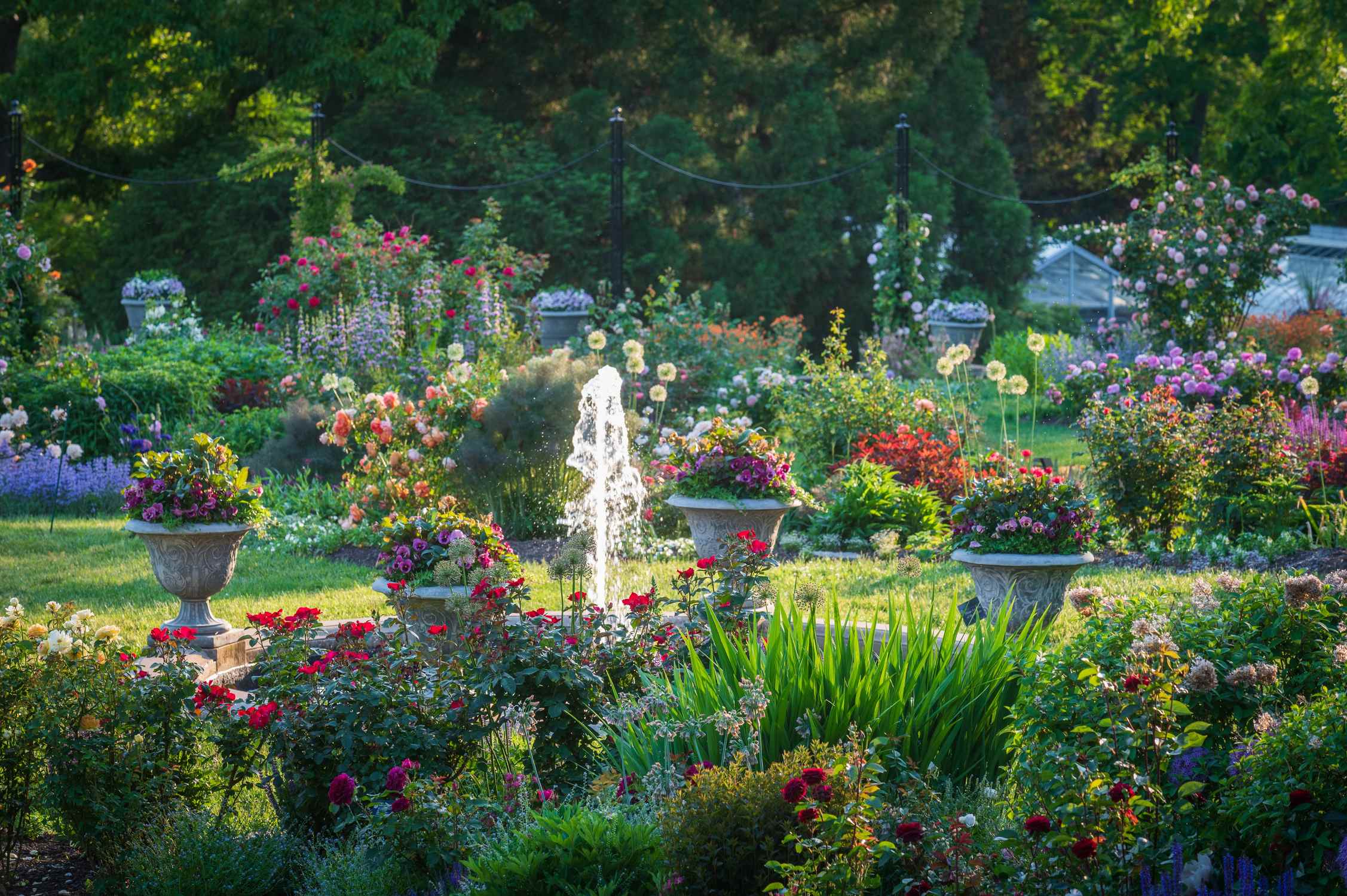 Morris Arboretum - Photo 1