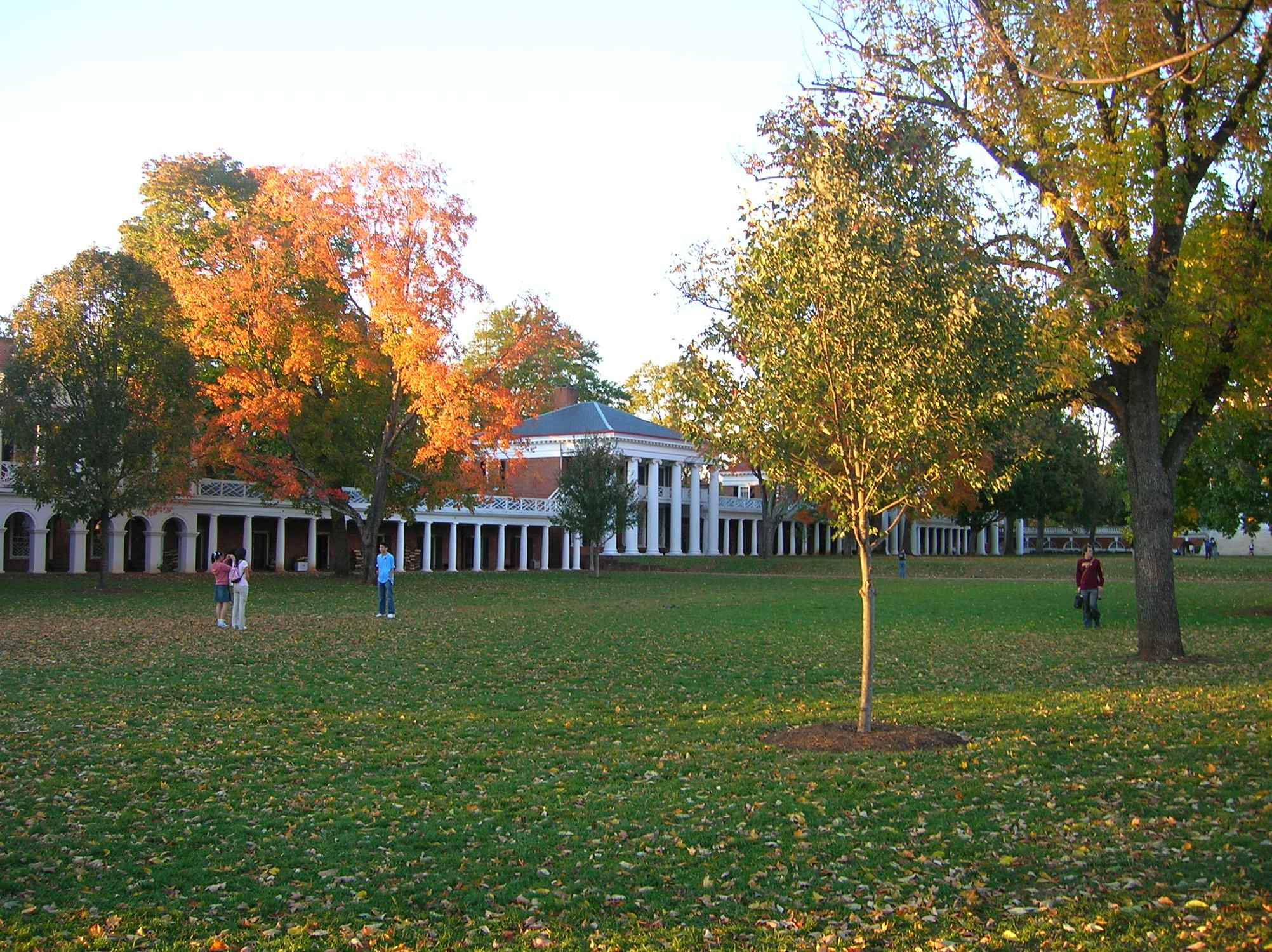 The Lawn - Photo 1