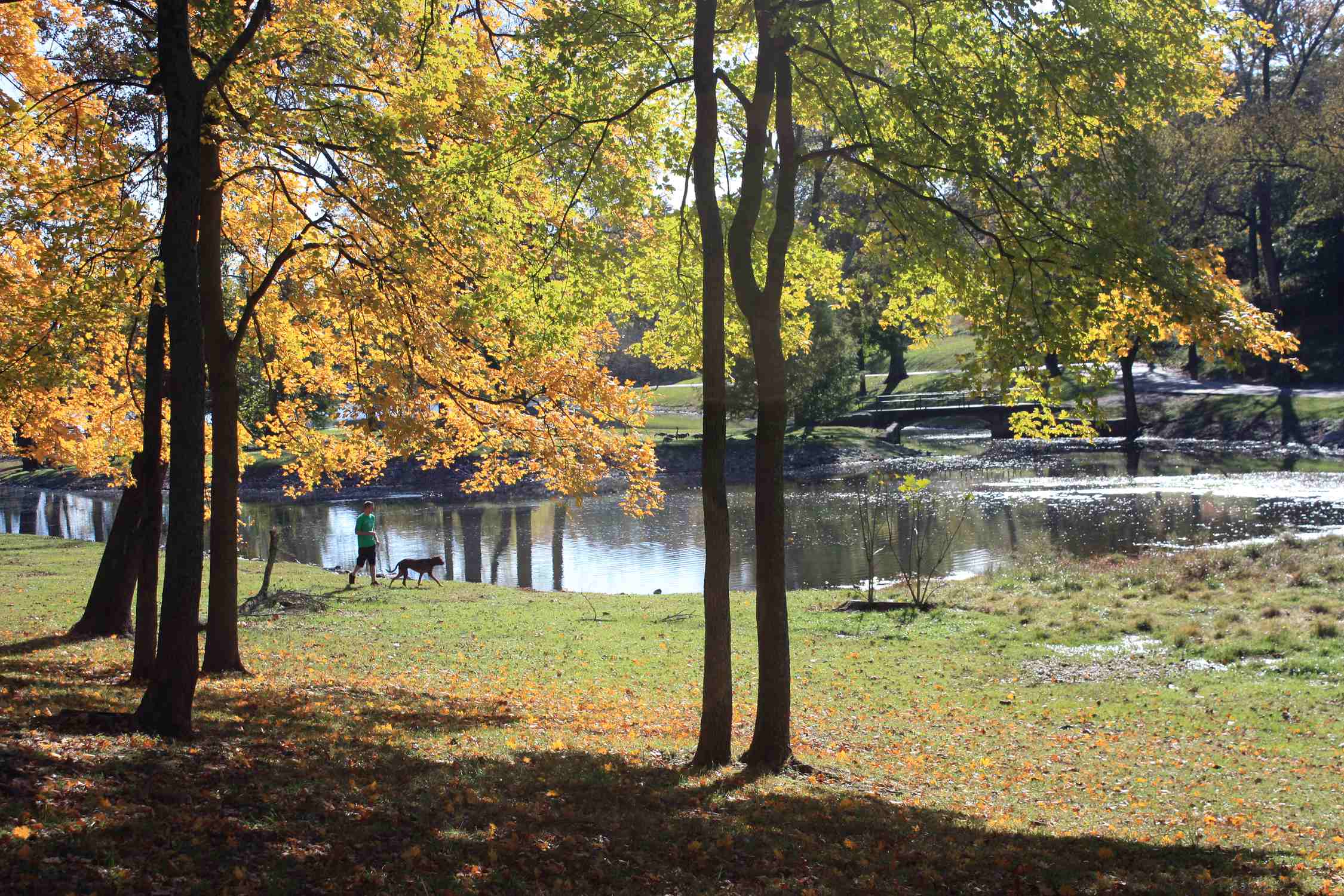Shelby Park - Photo 1