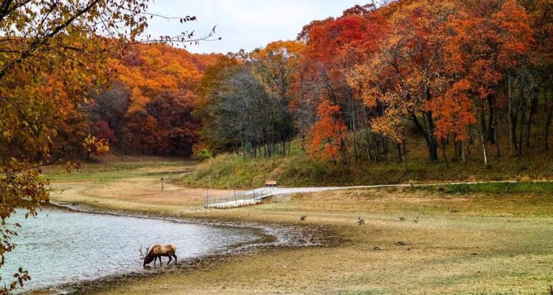 Lone Elk County Park - Photo 1
