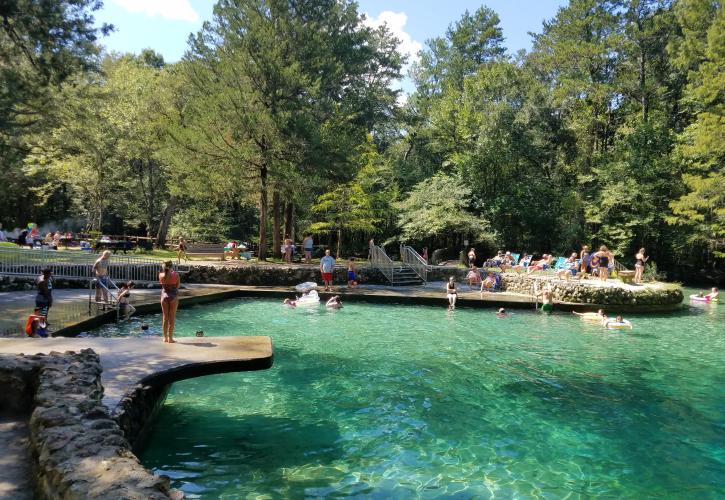 Ponce de Leon Springs State Park - Photo 1