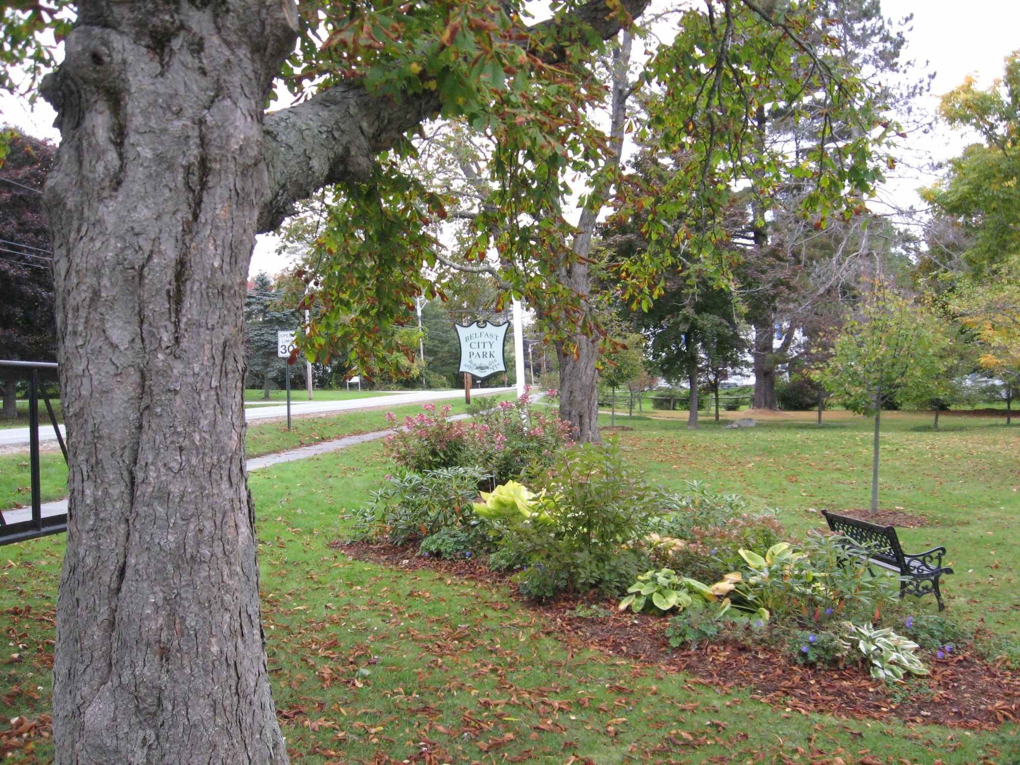 Belfast City Park - Photo 1