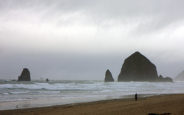 Tolovana Beach Wayside - Photo 1