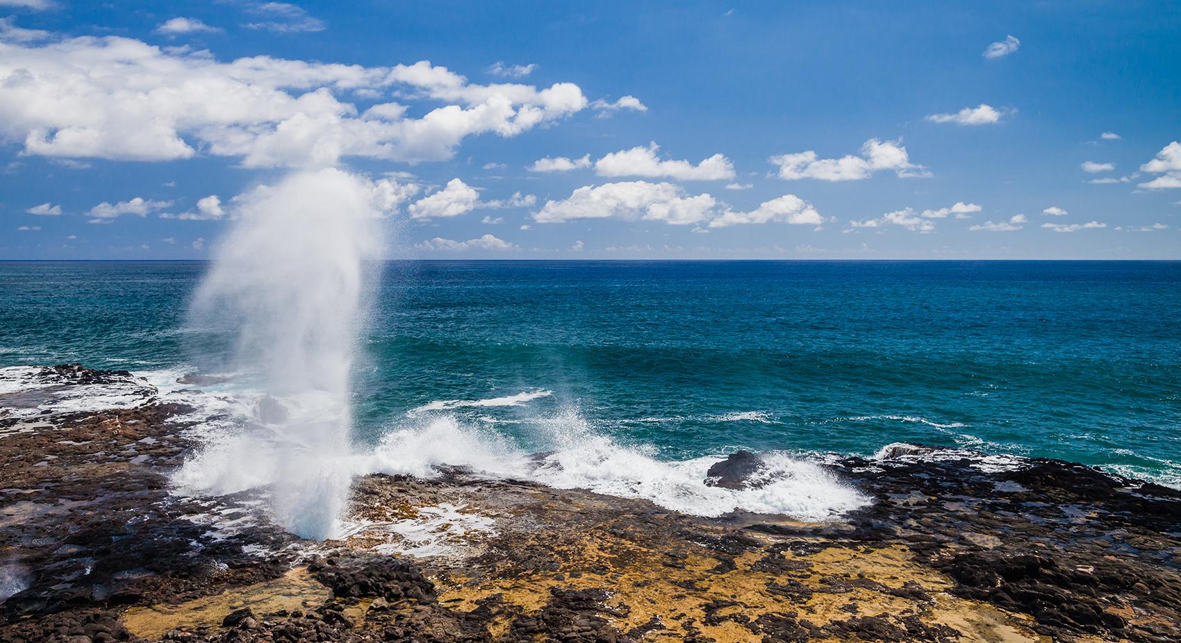 Spouting Horn Park - Photo 1