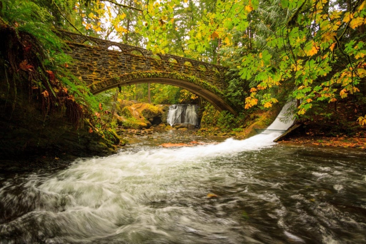 Whatcom Falls Park - Photo 1