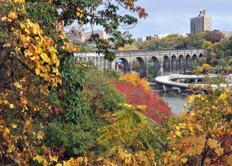 Highbridge Park - Photo 1