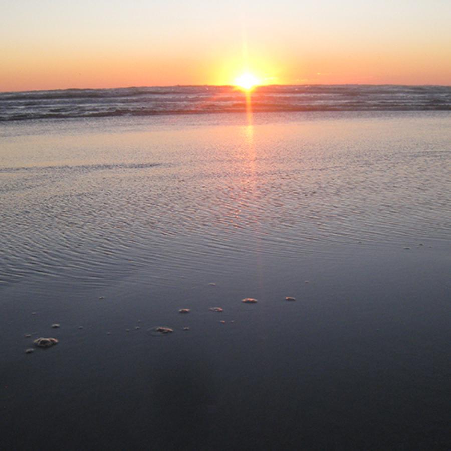 Grayland Beach Access State Park - Photo 1
